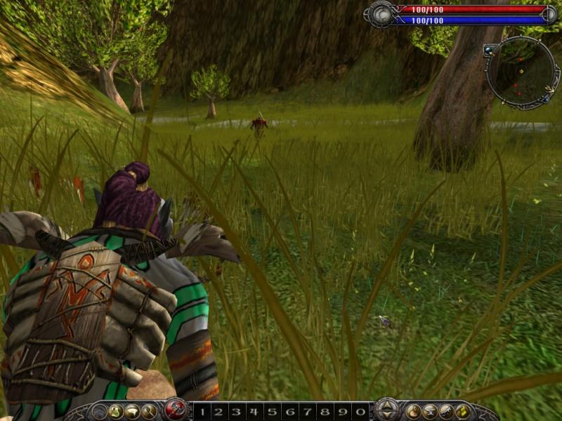 Asheron's Call 2: Fallen Kings - screenshot 2
