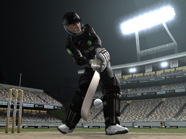 Cricket 2005 - screenshot 3