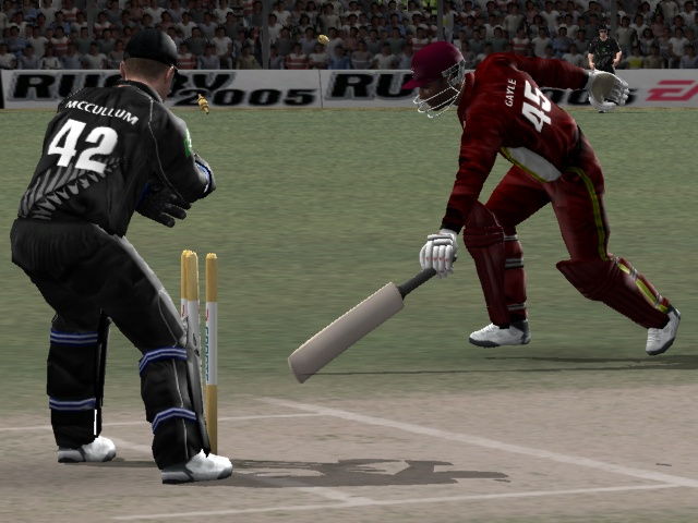 Cricket 2005 - screenshot 1