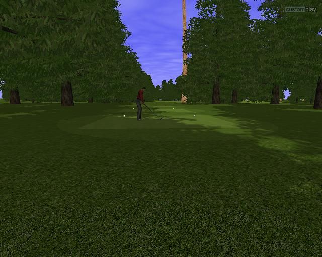 CustomPlay Golf - screenshot 16