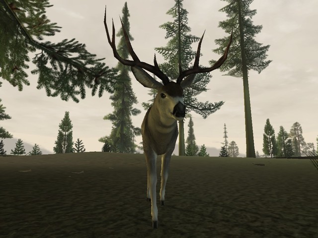 Deer Hunter 2005 - screenshot 10