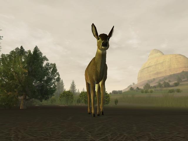 Deer Hunter 2005 - screenshot 9