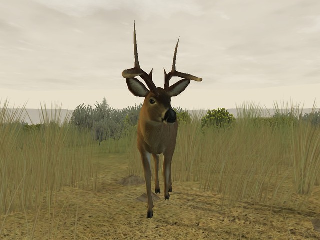 Deer Hunter 2005 - screenshot 3
