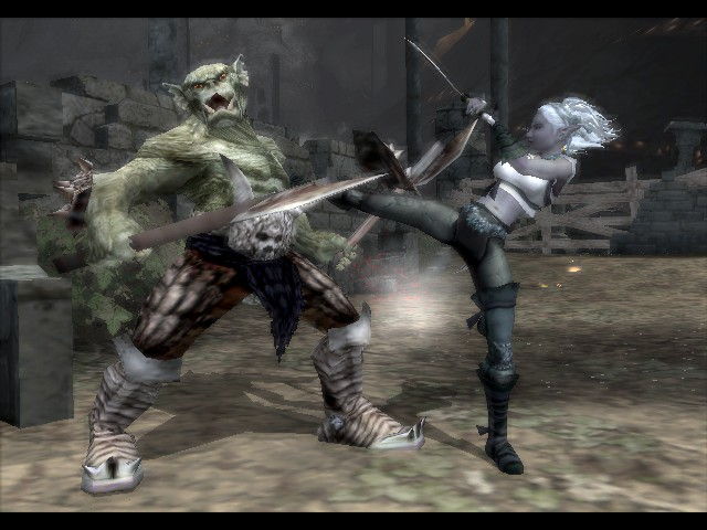 Forgotten Realms: Demon Stone - screenshot 3