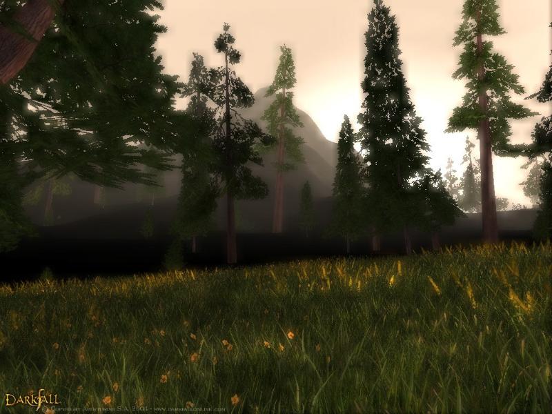 Darkfall Online - screenshot 10