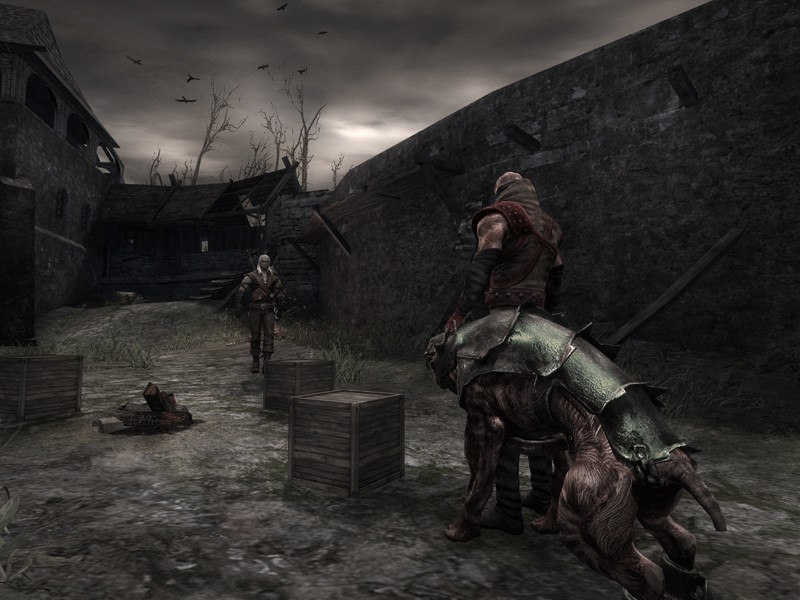 The Witcher - screenshot 40