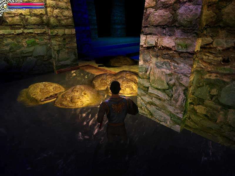 Dungeon Lords - screenshot 46
