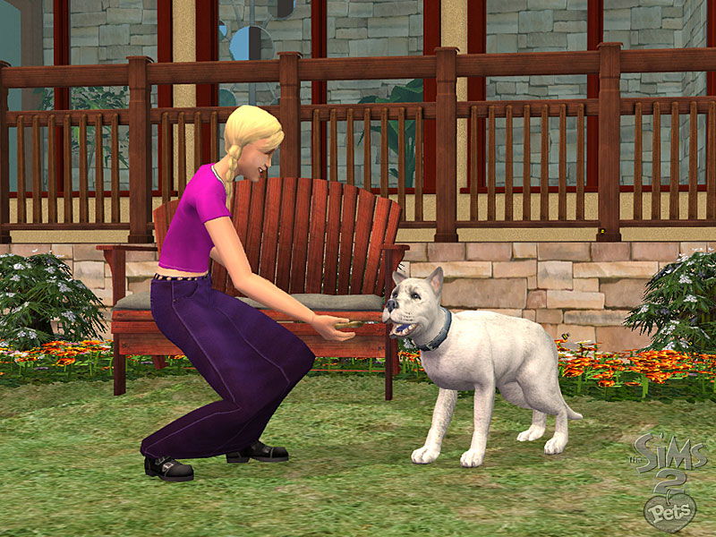 The Sims 2: Pets - screenshot 12