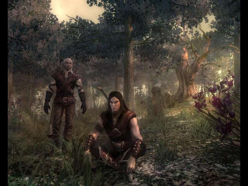 The Witcher - screenshot 29