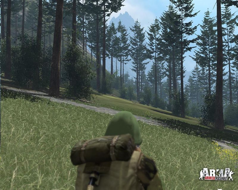 ArmA: Armed Assault - screenshot 29