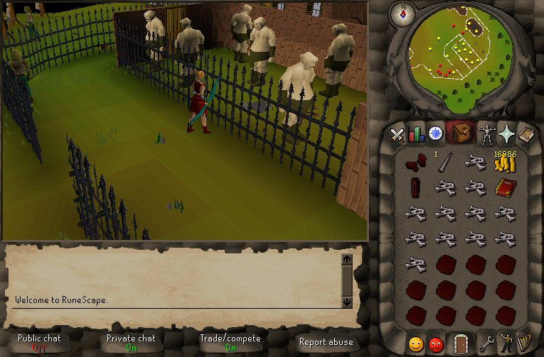 RuneScape - screenshot 8