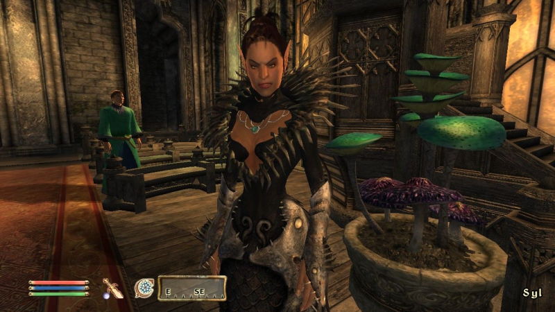 The Elder Scrolls 4: The Shivering Isles - screenshot 11