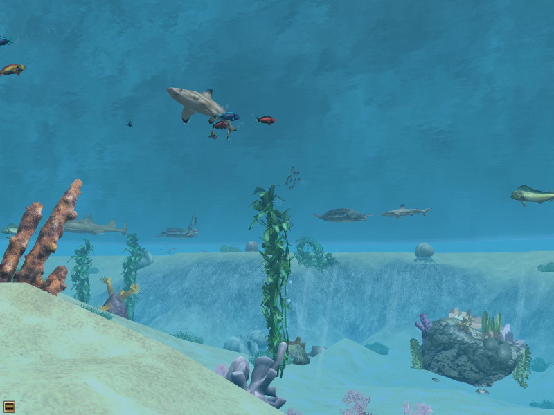 Wildlife Park 2: Marine World - screenshot 6