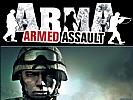 ArmA: Armed Assault - wallpaper #4