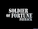 Soldier of Fortune 3: PayBack - wallpaper #3