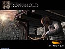 Stronghold - wallpaper #3