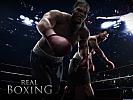 Real Boxing - wallpaper #1