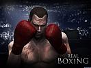 Real Boxing - wallpaper #3