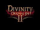 Divinity: Original Sin II - wallpaper #7