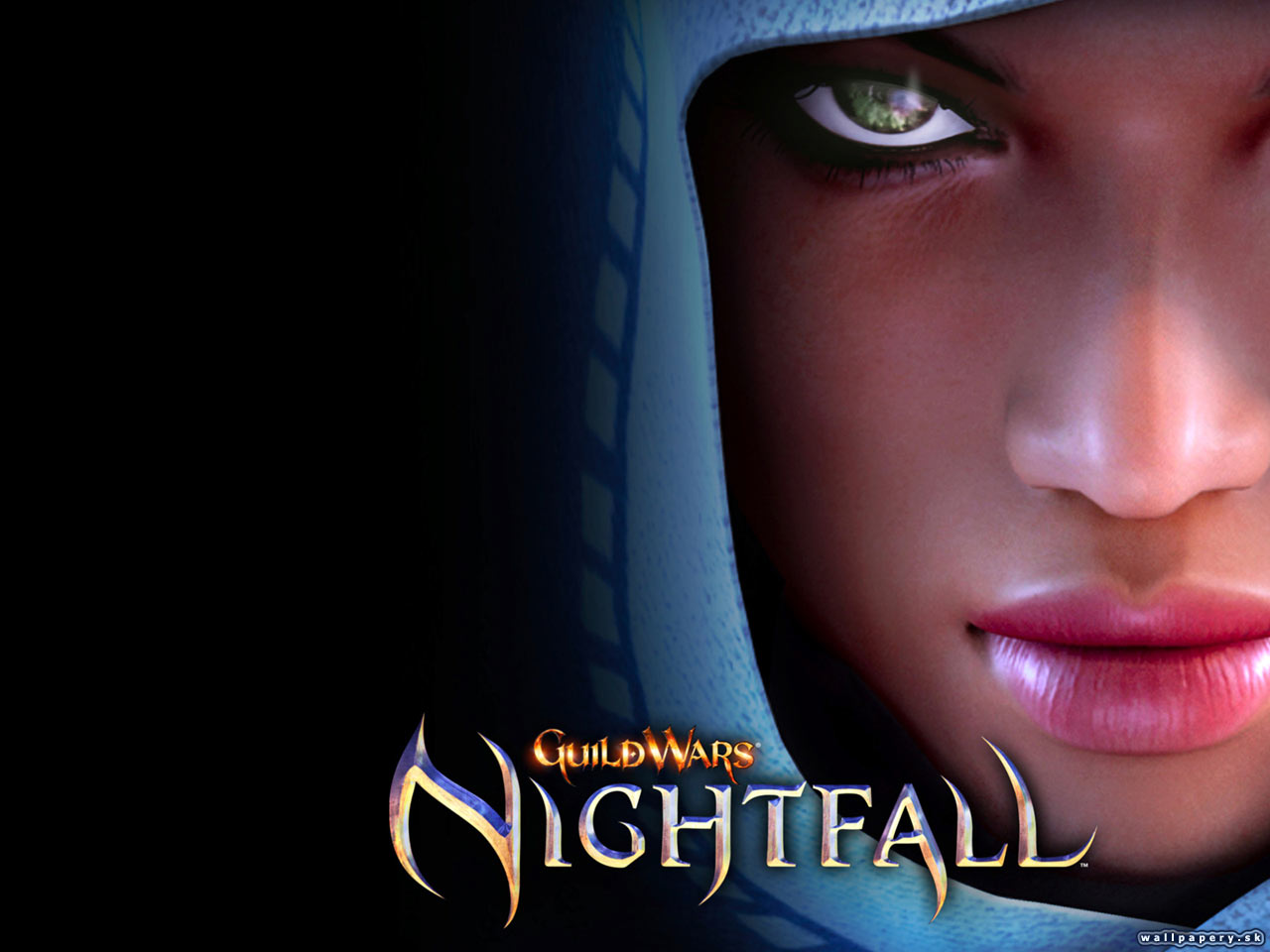 Guild Wars: Nightfall - wallpaper 1