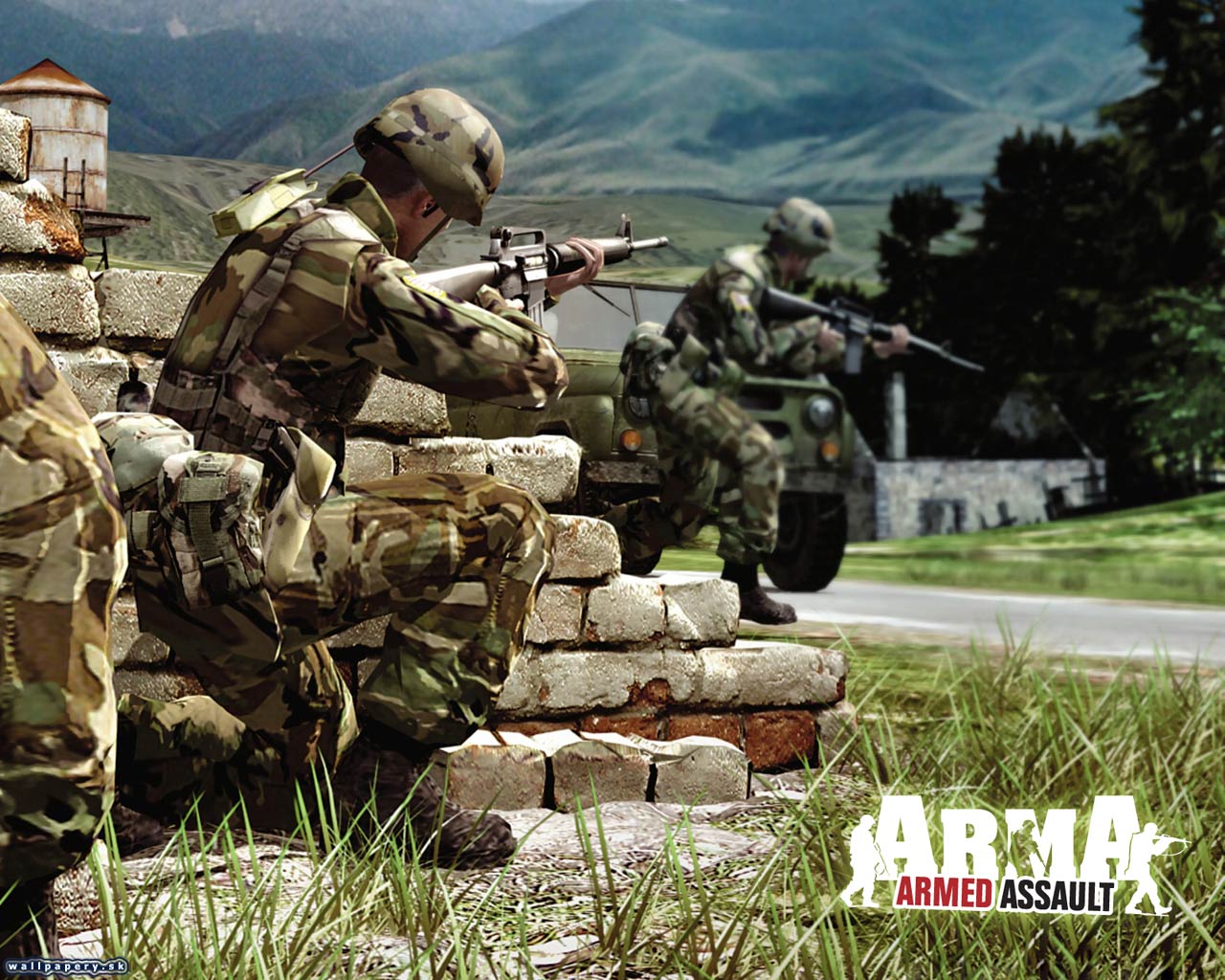 ArmA: Armed Assault - wallpaper 3
