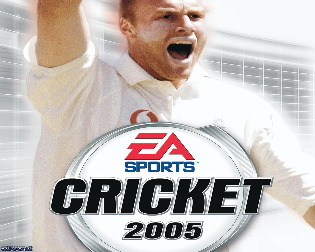 Cricket 2005 - wallpaper 4