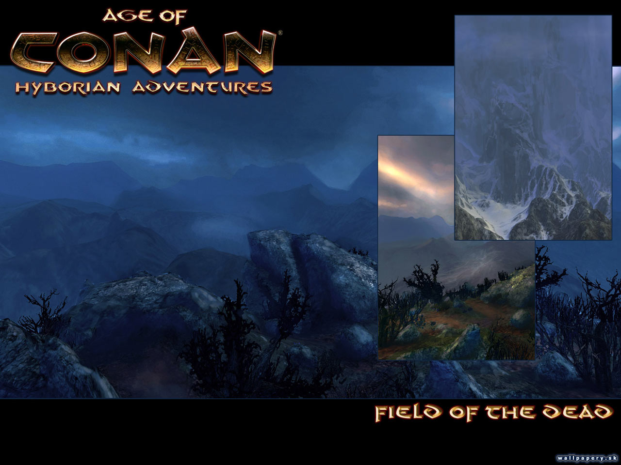 Age of Conan: Hyborian Adventures - wallpaper 17