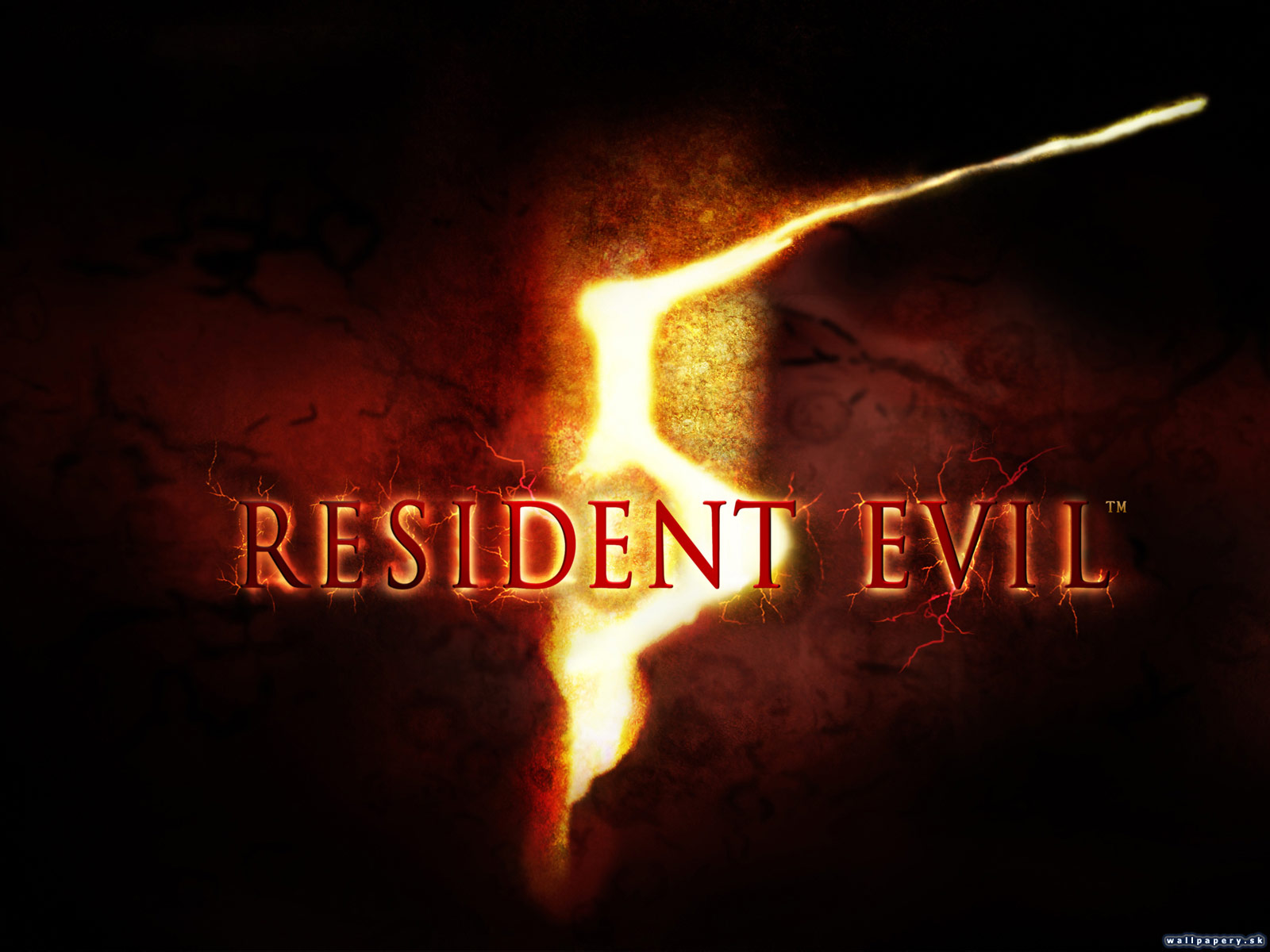 Resident Evil 5 - wallpaper 8