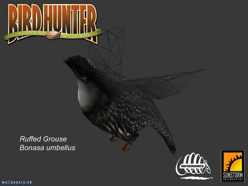 Bird Hunter 2003 - wallpaper 1