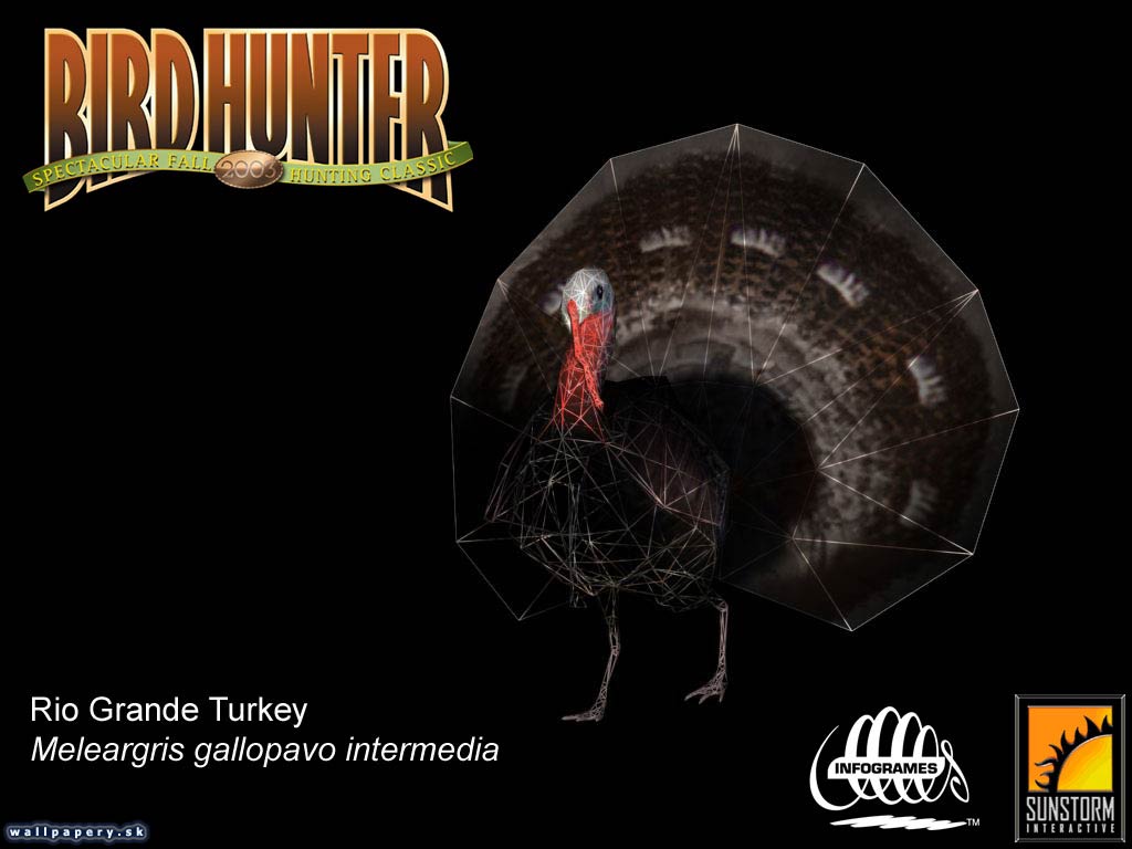 Bird Hunter 2003 - wallpaper 10