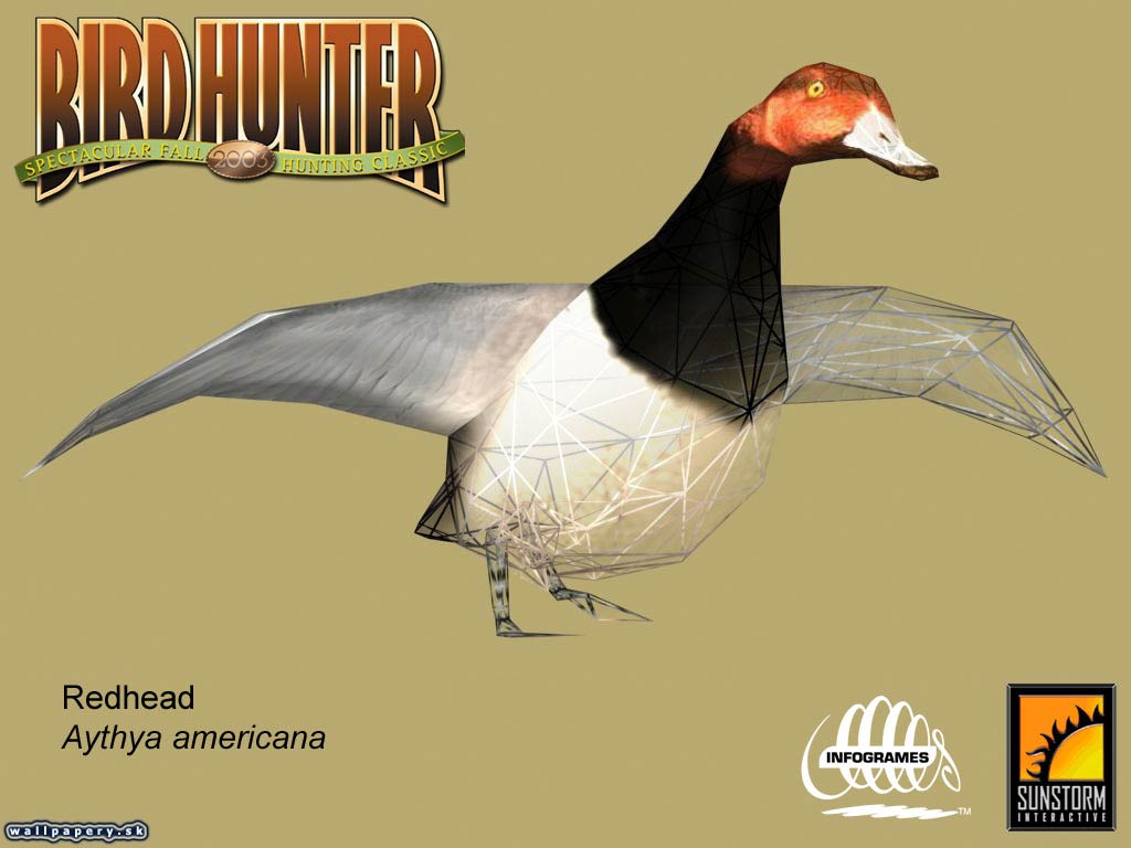 Bird Hunter 2003 - wallpaper 15