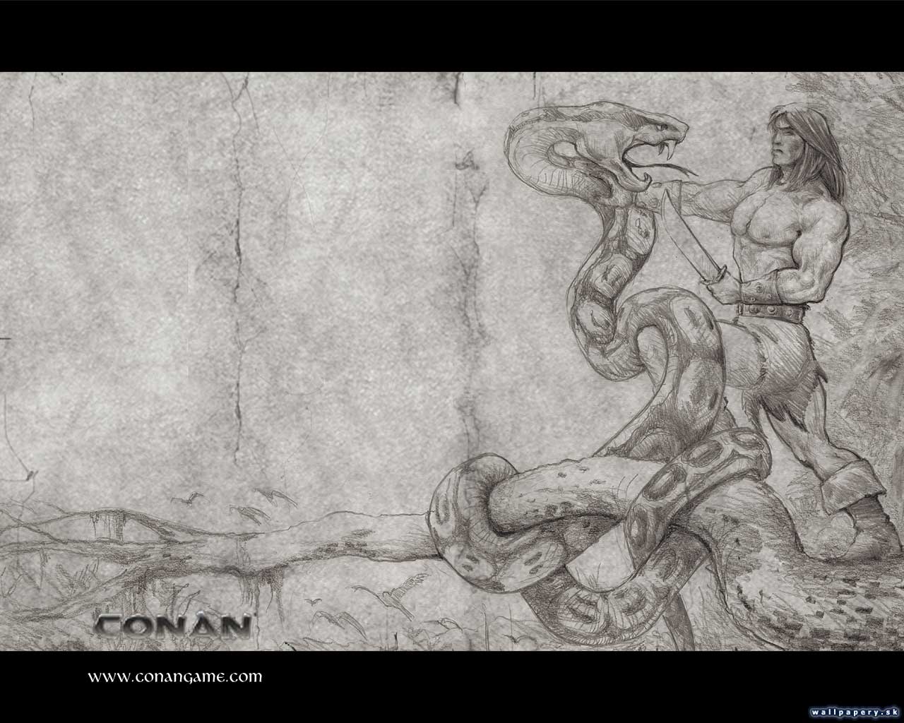 Conan: The Dark Axe - wallpaper 1