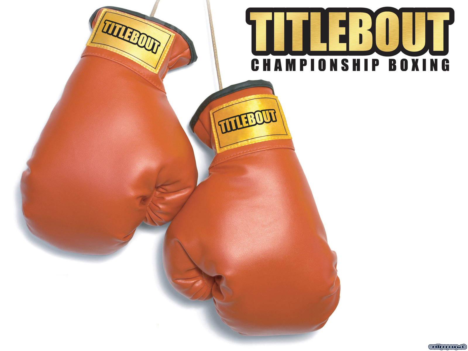 Title Bout Championship Boxing - wallpaper 1