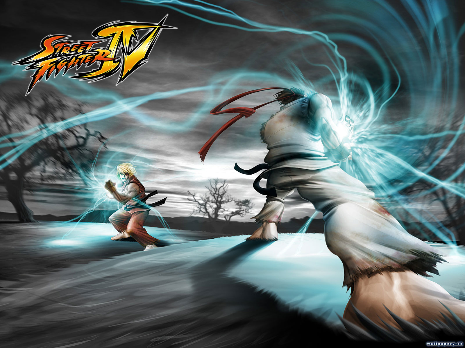 Street Fighter IV - wallpaper 1