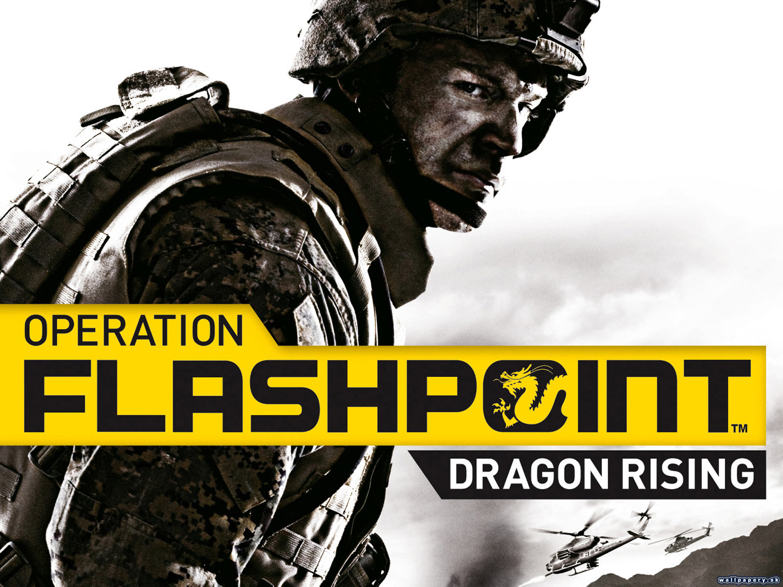 Operation Flashpoint 2: Dragon Rising - wallpaper 1