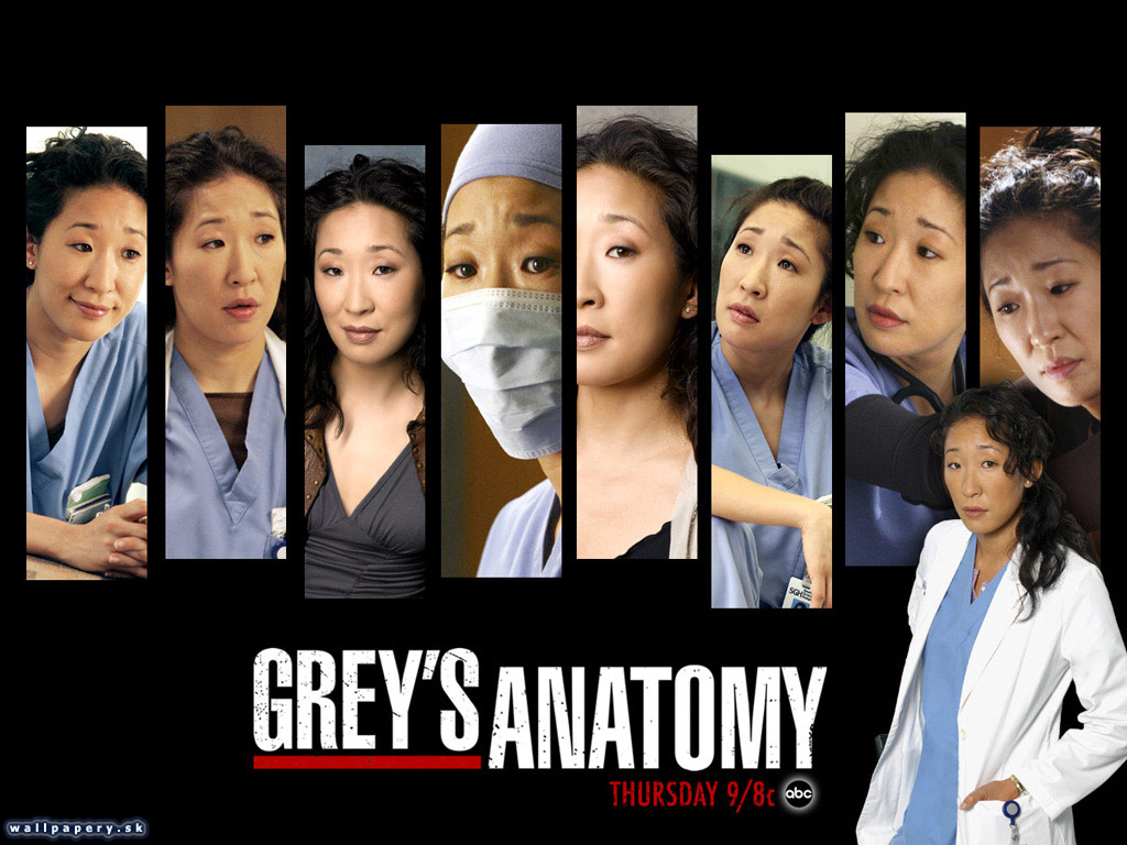 Greys Anatomy: The Video Game - wallpaper 11
