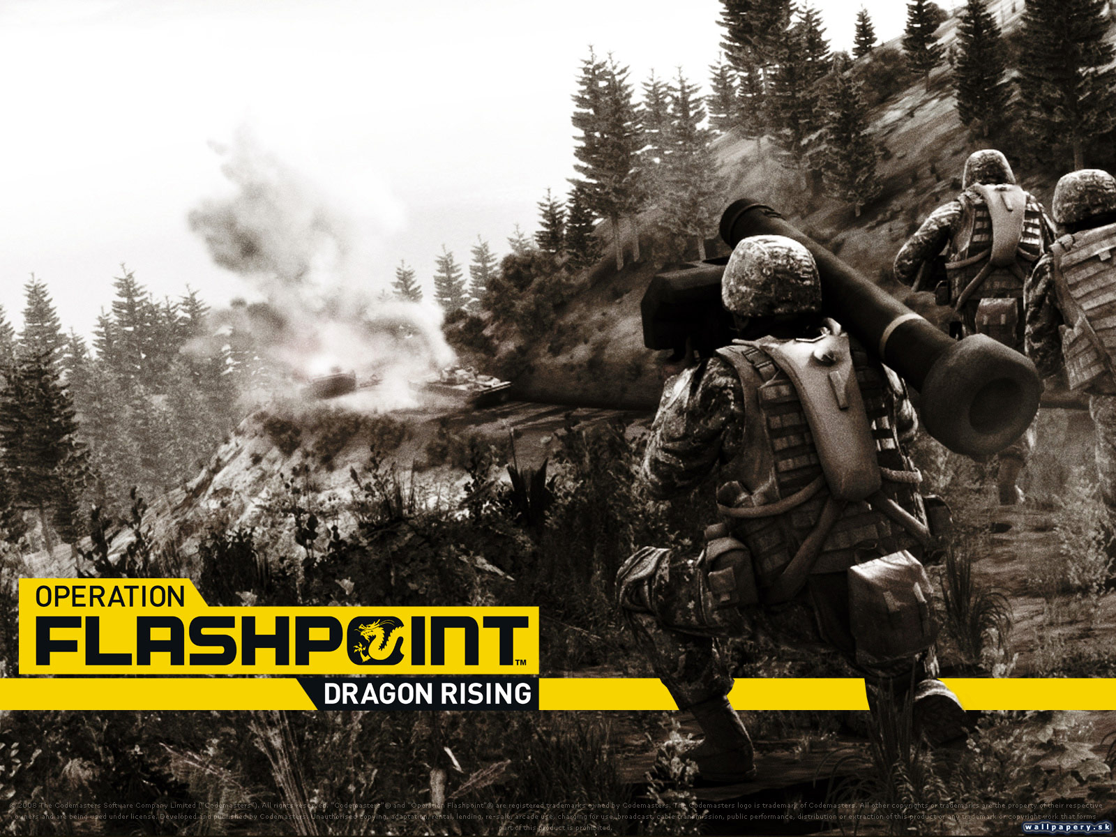 Operation Flashpoint 2: Dragon Rising - wallpaper 8