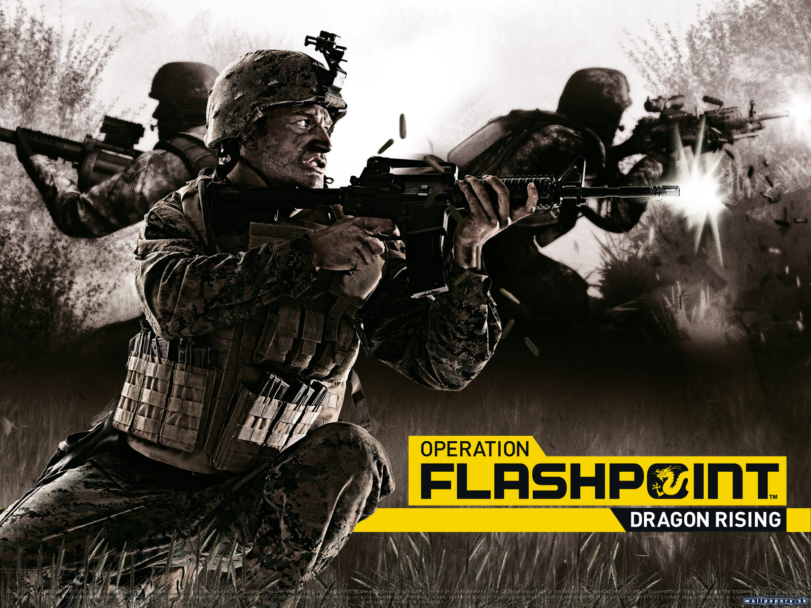 Operation Flashpoint 2: Dragon Rising - wallpaper 9