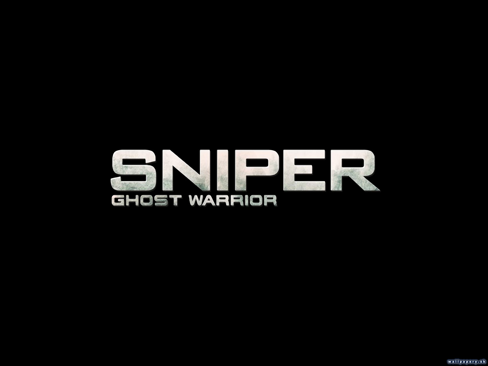 Sniper: Ghost Warrior - wallpaper 4