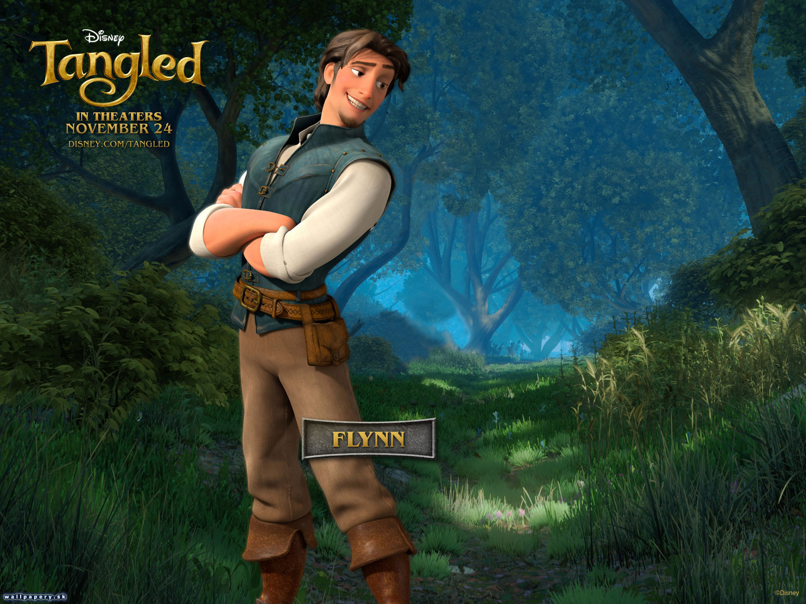 Disney Tangled: The Video Game - wallpaper 3