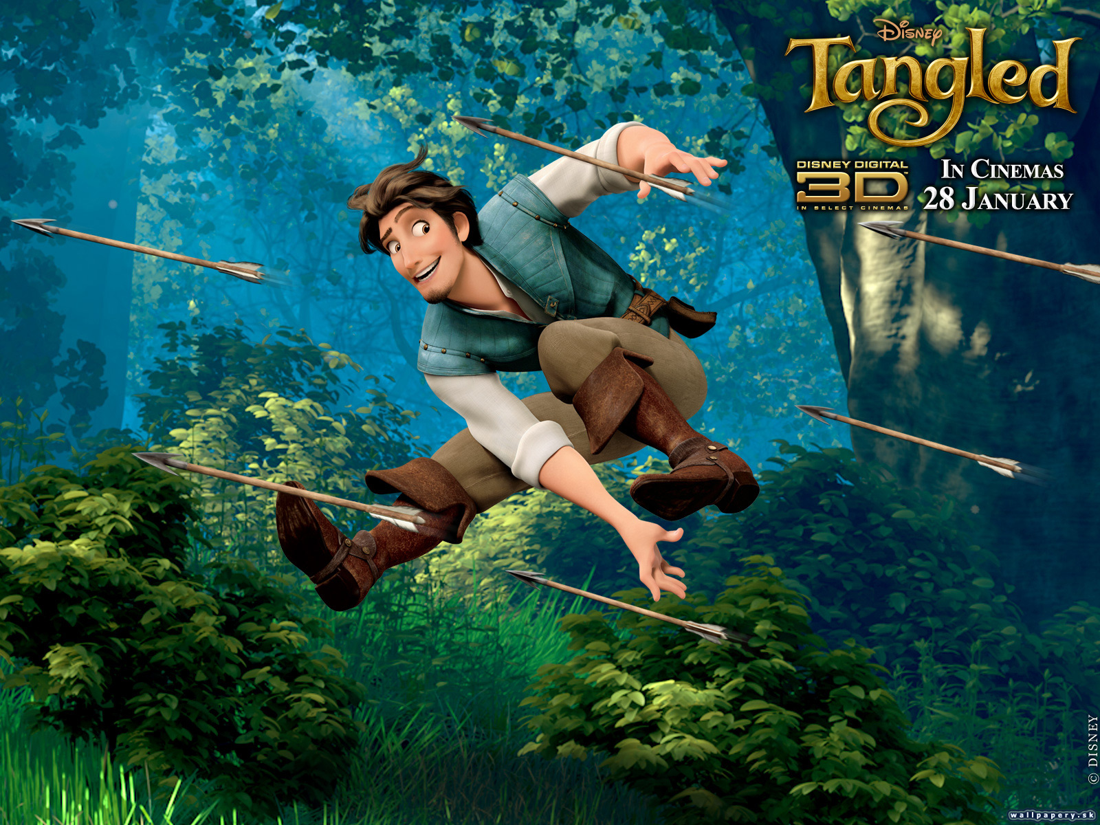 Disney Tangled: The Video Game - wallpaper 4