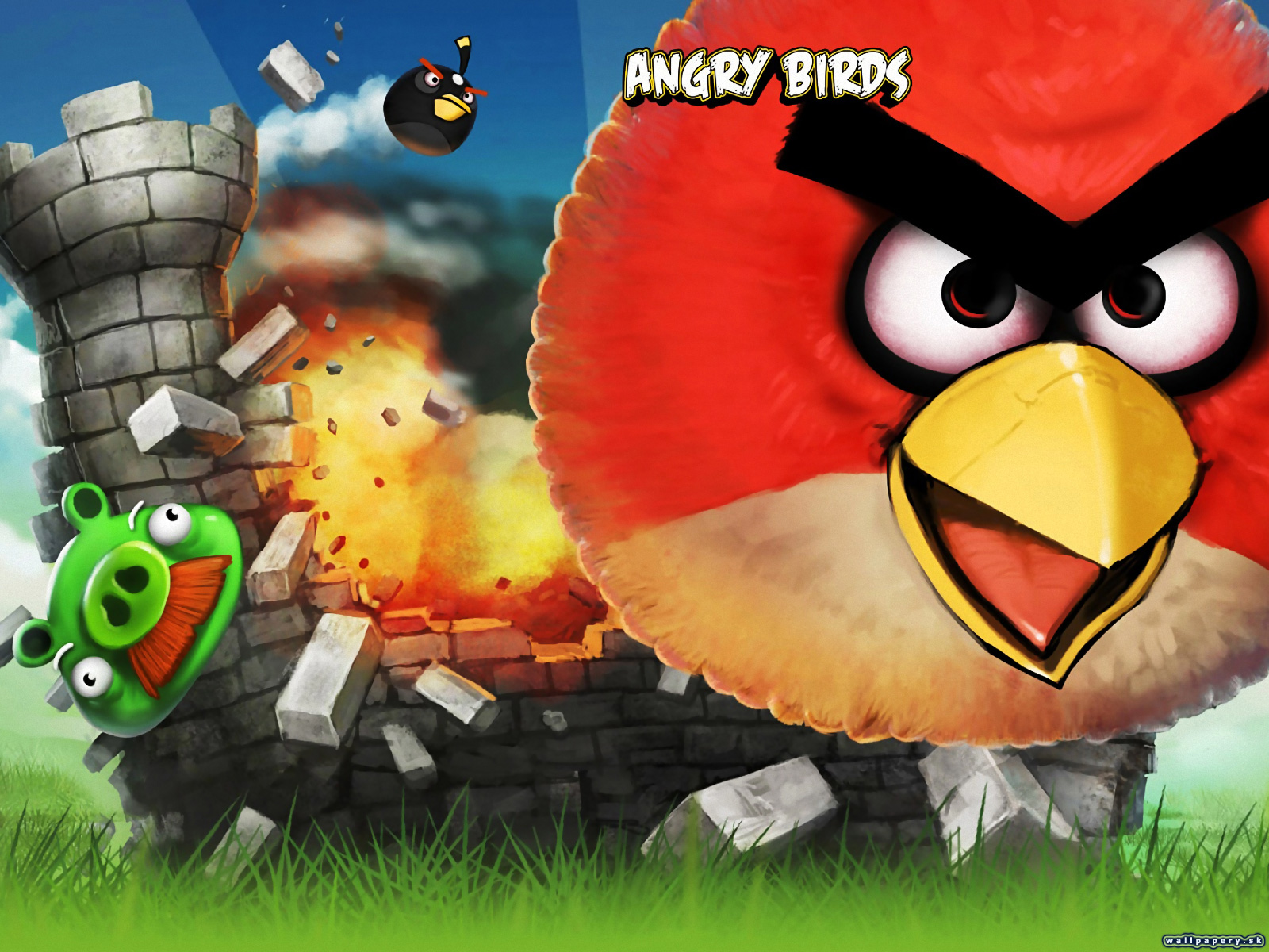 Angry Birds - wallpaper 1