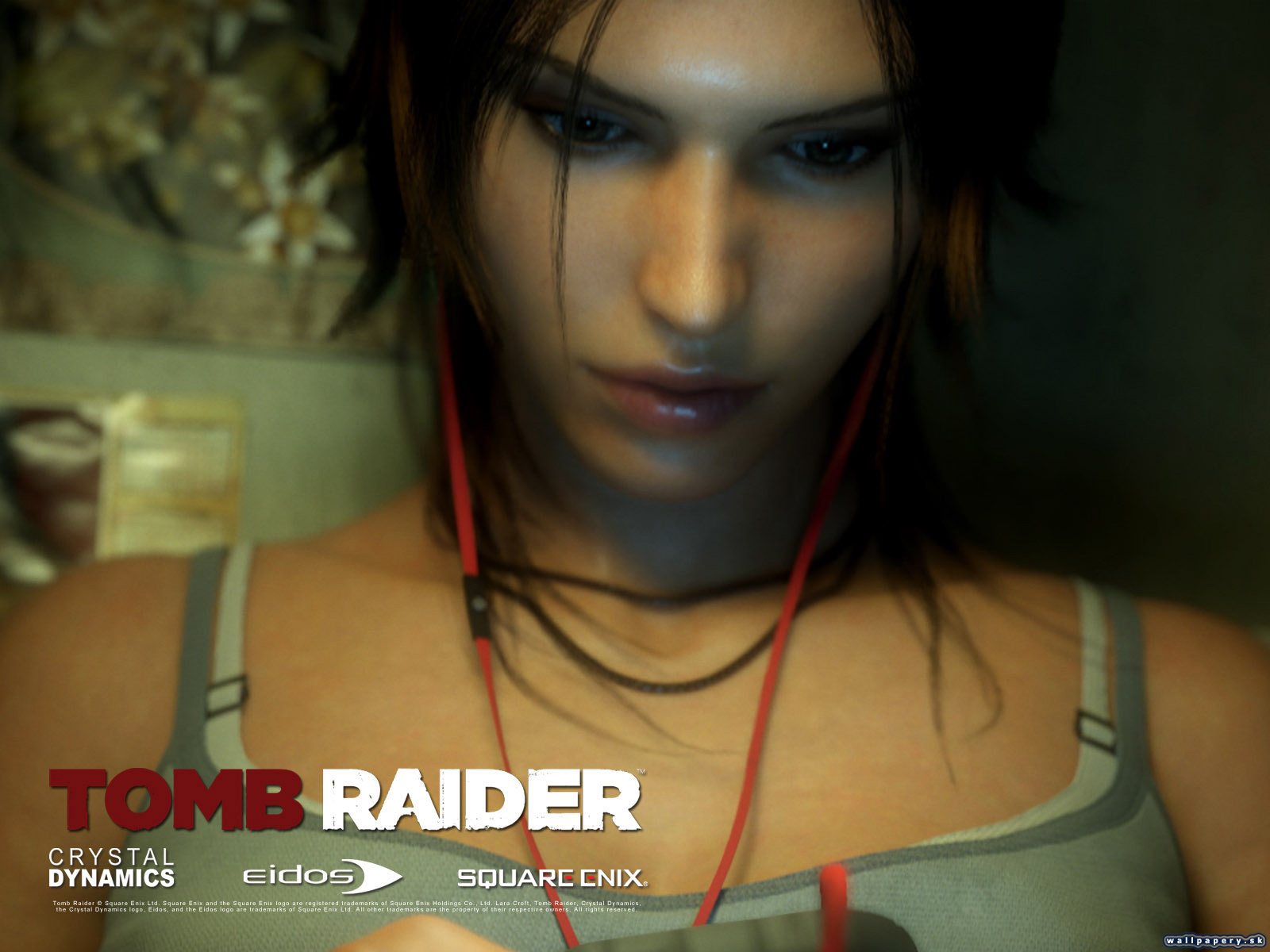 Tomb Raider - wallpaper 4