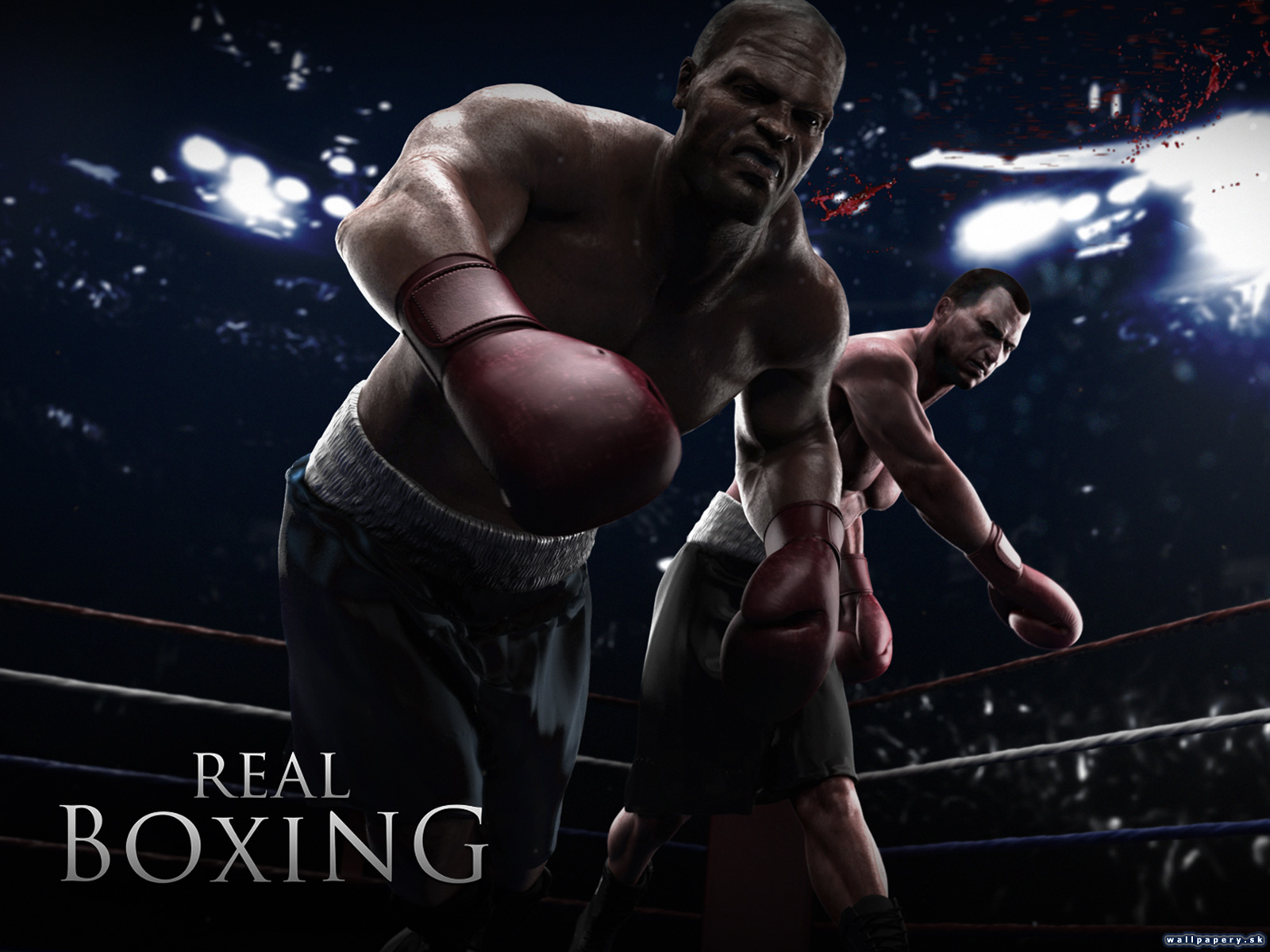 Real Boxing - wallpaper 1