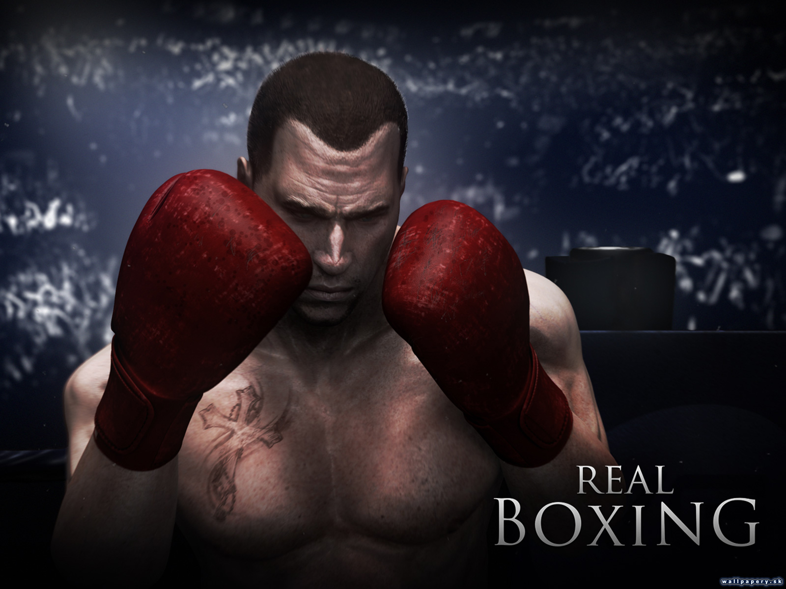 Real Boxing - wallpaper 3