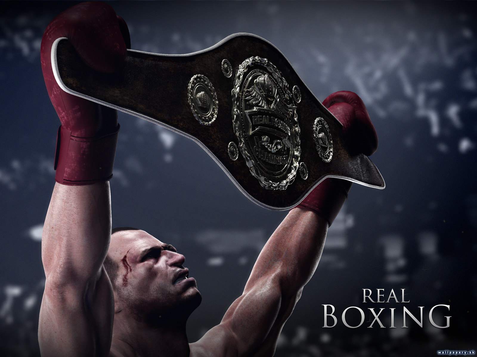 Real Boxing - wallpaper 4