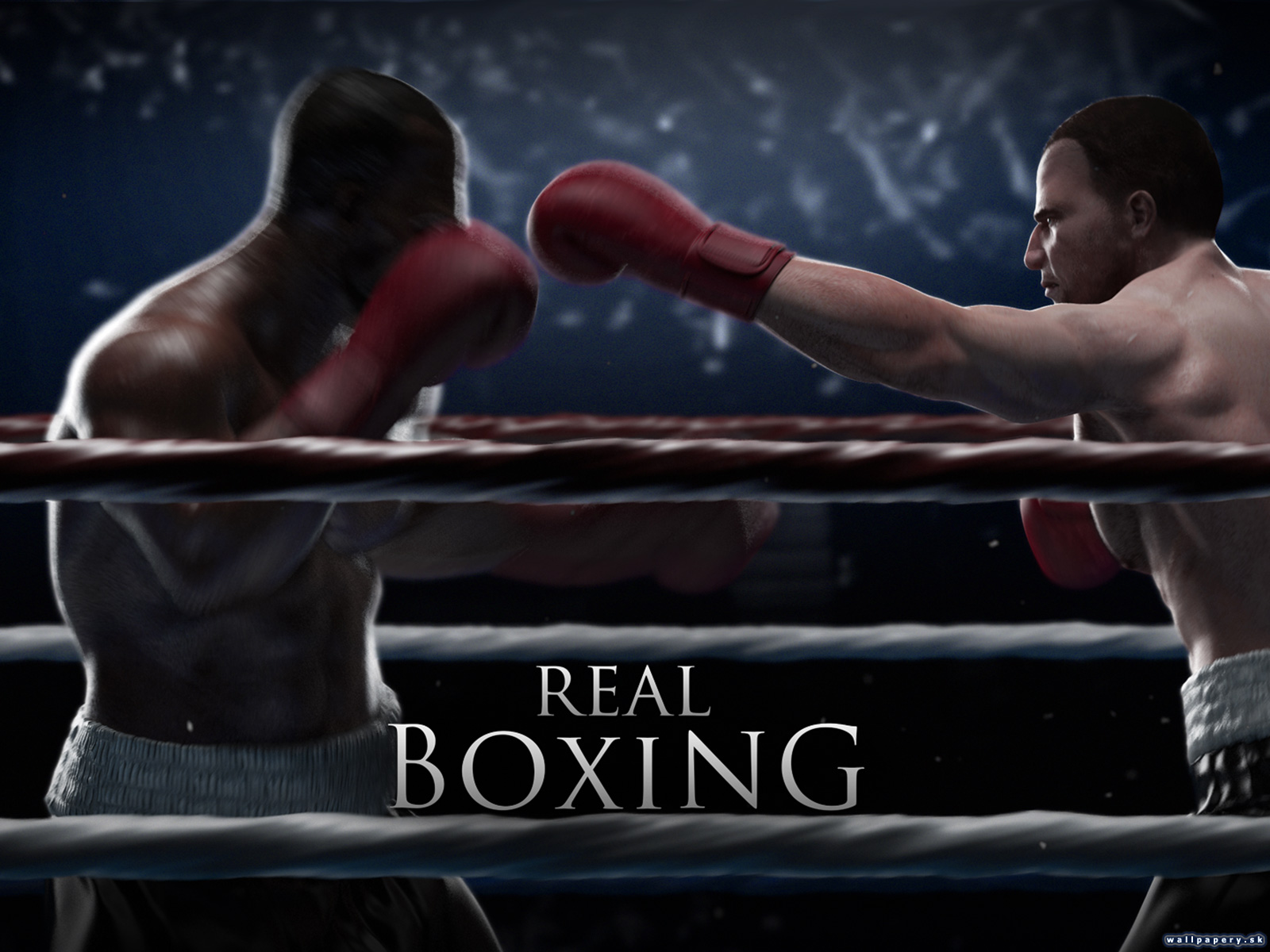 Real Boxing - wallpaper 5
