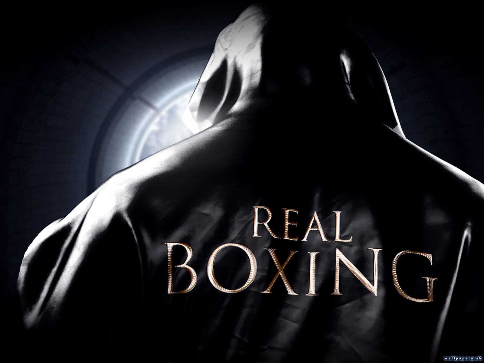 Real Boxing - wallpaper 6
