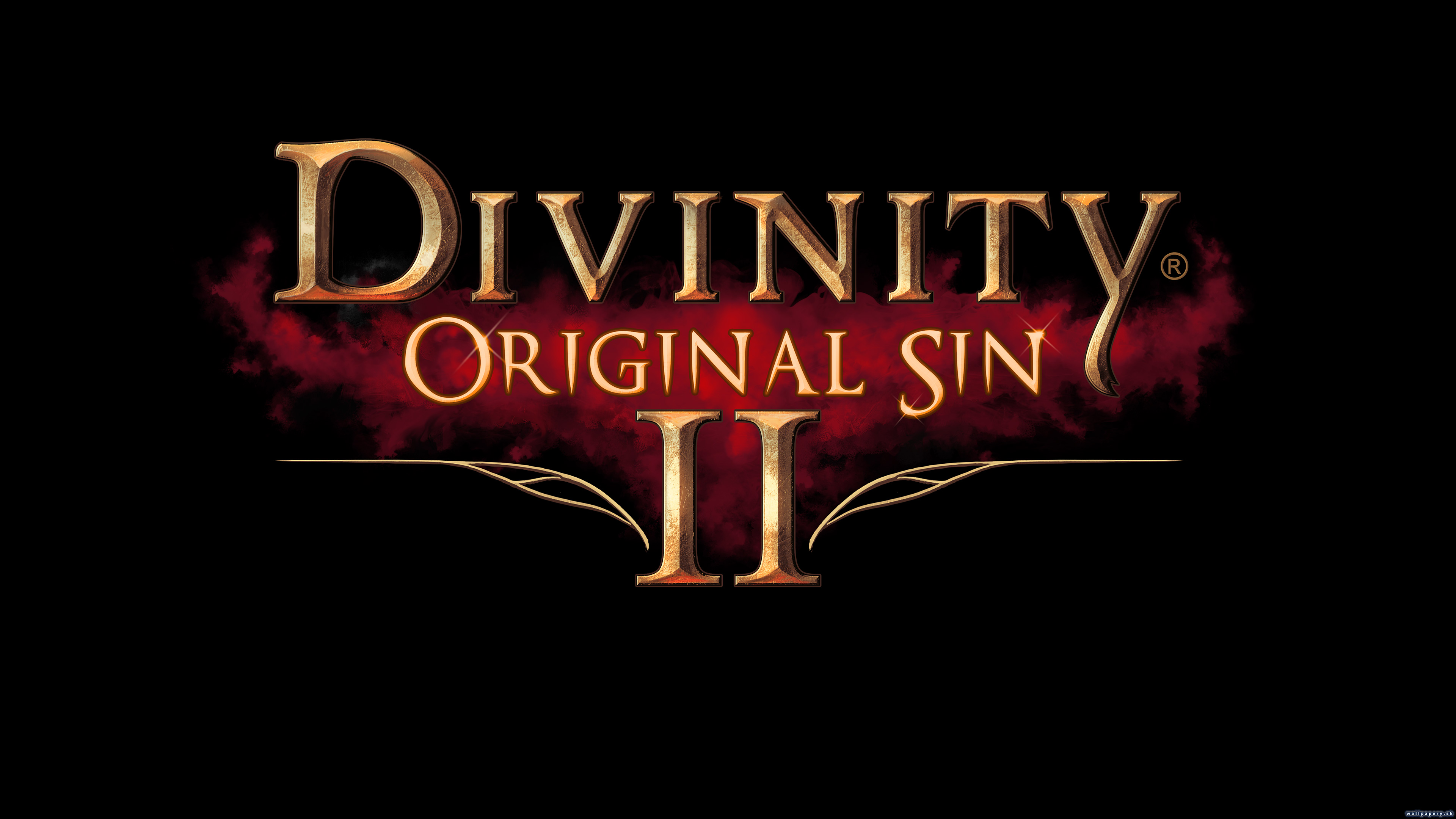 Divinity: Original Sin II - wallpaper 7
