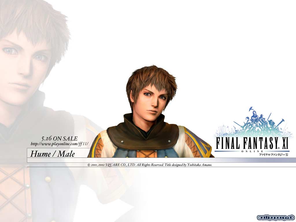 Final Fantasy XI: Online - wallpaper 14